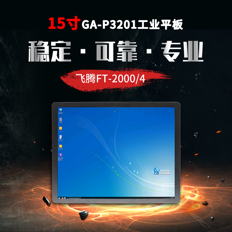 飛騰2000/4一體機15寸顯示屏P3201(圖1)